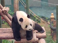 -大连森林动物园