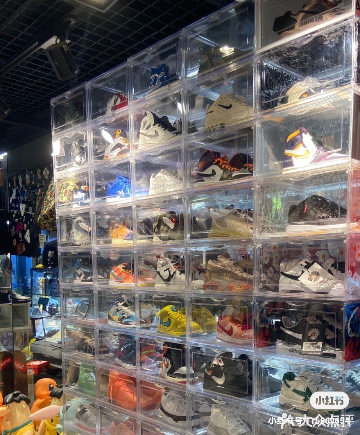 深圳新晋宝藏买手店|Legit Check