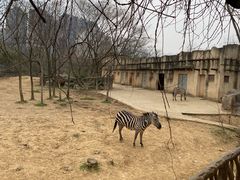 -南昌动物园