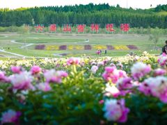 -六鼎山文化旅游区