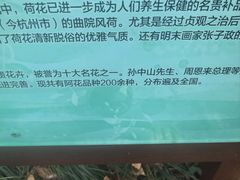 -陈家山荷花公园
