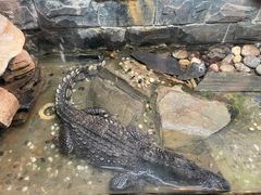 -上海大自然野生昆虫馆