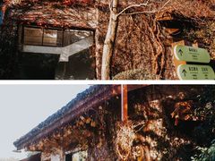 -中国茶叶博物馆(双峰馆区)