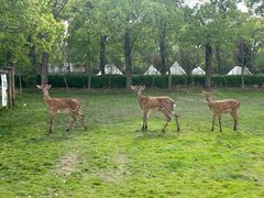 -不觉晓CAMPING(上海迪士尼营地店)