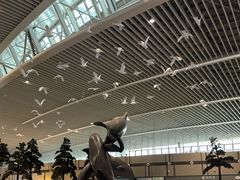 -青岛胶东国际机场