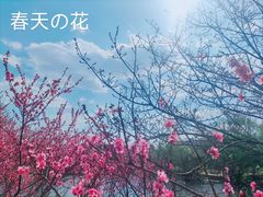 -贵阳市花溪国家城市湿地公园