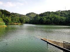 -中山市树木园
