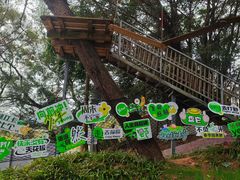 -芦仙山景区-飞越丛林探险乐园