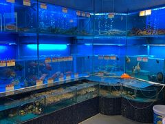 -协成海鲜火锅(海洋花园店)