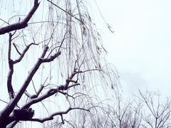 -杭州西湖银泰百货