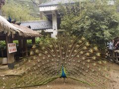 -黔灵山公园
