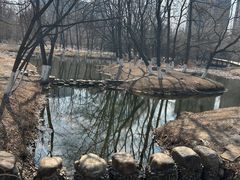 -长白岛森林公园