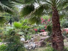 -斑斓西餐厅·自助茶点(高崎机场佰翔花园酒店)