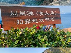 -杨梅坑