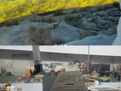 -大庆市博物馆
