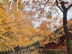 -香山公园