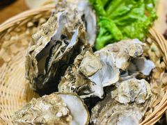 -鸽子窝(黄村店)