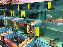 -有腥气私房菜·寻味顺德