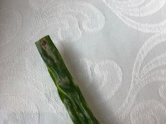 -大笮风(体育馆总店)