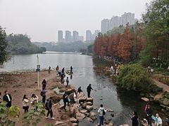 -重庆彩云湖湿地公园