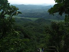 -天女山森林公园