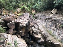 -广州白江湖森林公园