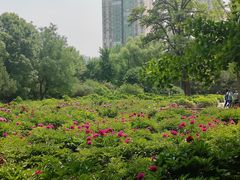 -迎泽公园