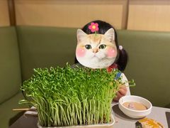 -海底捞火锅(劲松店)