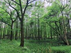 -杭州植物园
