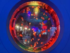 -太平洋海底世界