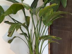 -毛家饭店·30年融合新湘菜(汉峪金谷店)