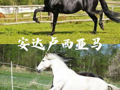 -多维国际马术俱乐部(118广场店)