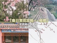 -鸡鸣寺