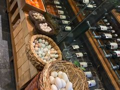-食家鸽园