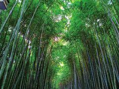 -苏州环秀晓筑养生度假村