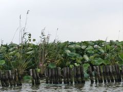 -焦岗湖旅游度假区