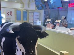 -红星前进面包牛奶公司(君太店)