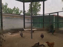 -瑞博尔花园酒店(太周创新产业园店)