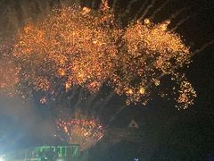 -大塘金香草谷