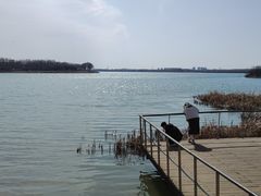 -丁香湖公园