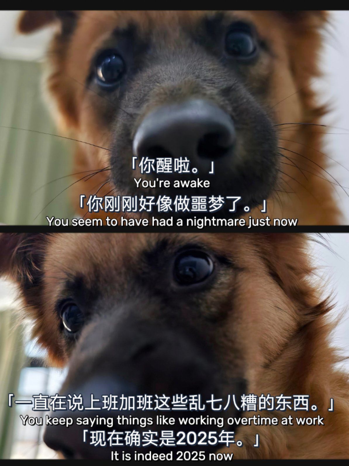 你醒啦,你刚刚好像做噩梦啦!