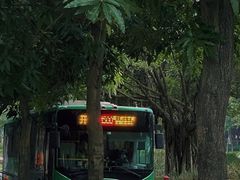 -深圳国际园林花卉博览园