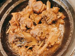 -红果树(江光店)