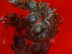 -阳澄湖大闸蟹·琼灵阁牌品牌连锁(吴中总店)