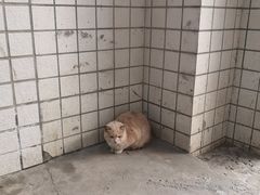 -莲湖公园