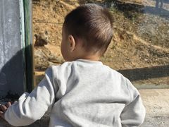 -泉州海丝野生动物世界