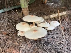 -T館·花园艺术餐厅