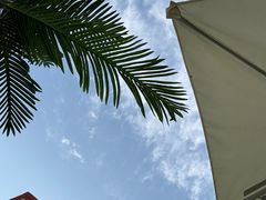 -ChanDu躔度咖啡(灯塔店)