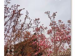 -北京明城墙遗址公园