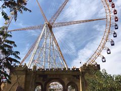 -石家庄市动物园